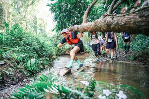 BIB: 
                            <button type="button" onclick="openModal(25478707)" class="btn btn-primary btn-sm float-right btn-popup" data-toggle="modal" data-target=".modal-high-quality">
                        <i class="fas fa-shopping-cart"></i> Add to Cart
                    </button>
                                            <button type="button" onclick="isThisMe(25478707, true)" class="btn btn-success btn-sm float-right btn-popup btn-isme hidden" data-toggle="tooltip" data-placement="bottom" title="นี่คือรูปของคุณใช่ไหม คลิกที่นี่เพื่อเอาเข้าอัลบั้ม">
                        <i class="fas fa-plus"></i> Add to album
                    </button>
                    <button type="button" onclick="isThisMe(25478707, false)" class="btn btn-warning btn-sm float-right btn-popup btn-isnotme hidden">
                        <i class="fas fa-ban"></i> Remove from album
                    </button>